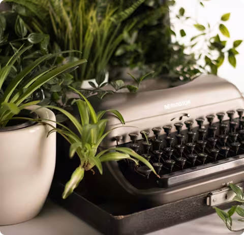 ontact-representative-image